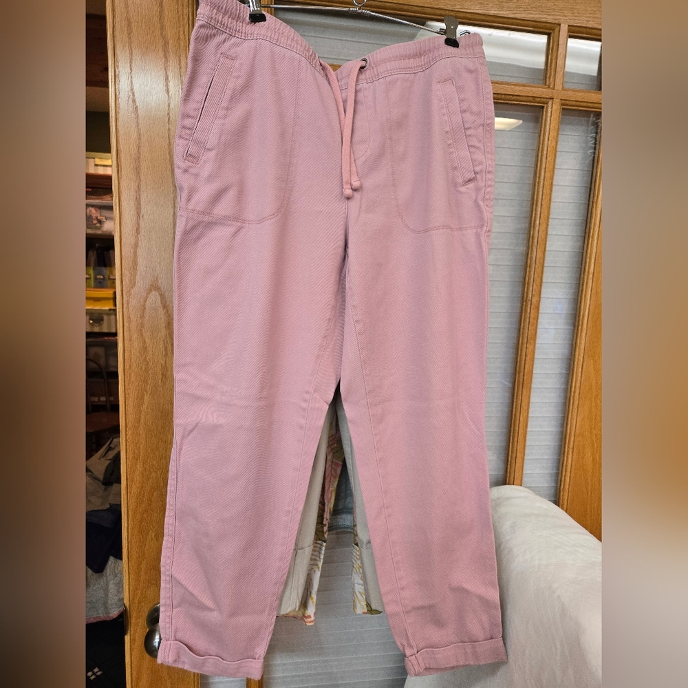 Time and Tru Blush Jogger Pants